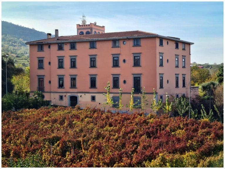 Baldassarre D'Avino